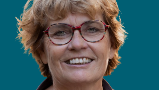 Ine Spee Crisisadviseur ARQ IVP
